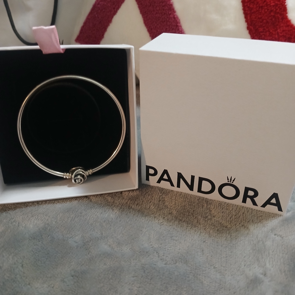 Pandora Silver Bracelet with Elegant Charm